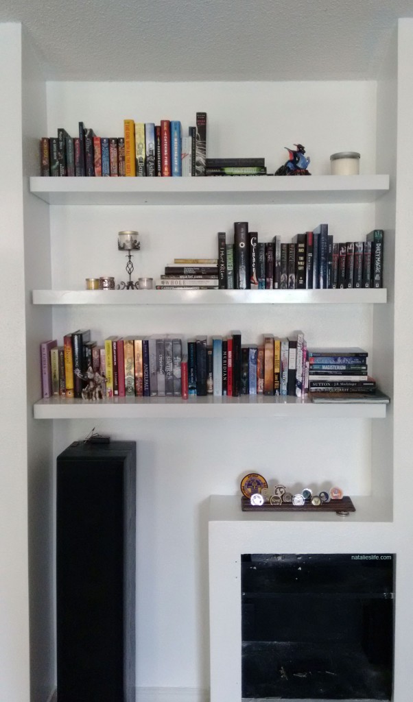 bookshelves05